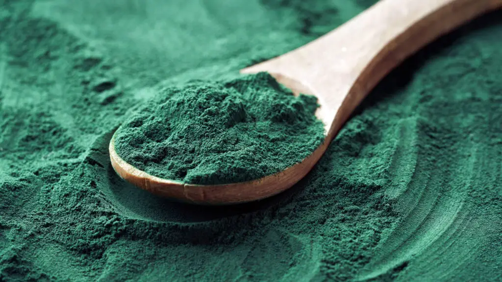 Fijn spirulina-poeder op een houten lepel, een natuurlijk additief voor koivoer