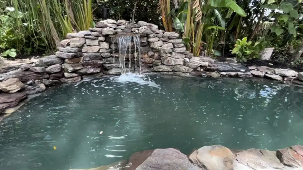 Natuurlijke koivijver met rotswand en waterval voor beluchting en koeling tijdens warme zomerdagen.