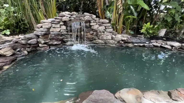 Natuurlijke koivijver met rotswand en waterval voor beluchting en koeling tijdens warme zomerdagen.