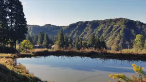 Landschap met koivijver in Japan tijdens inkoopreis van A2KOI om Japanse koi te selecteren