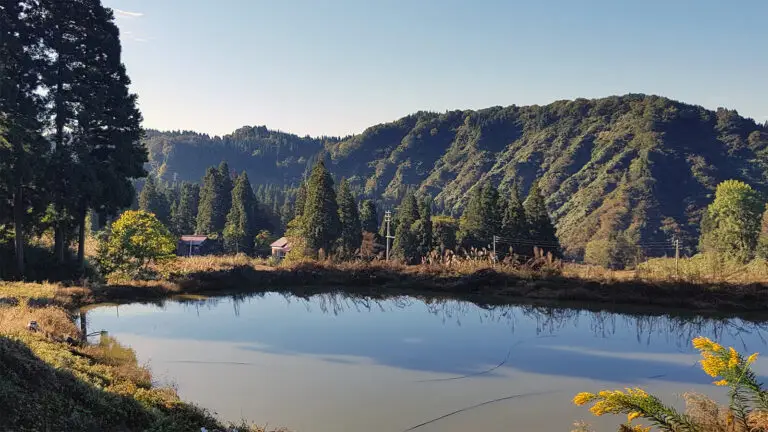 Landschap met koivijver in Japan tijdens inkoopreis van A2KOI om Japanse koi te selecteren