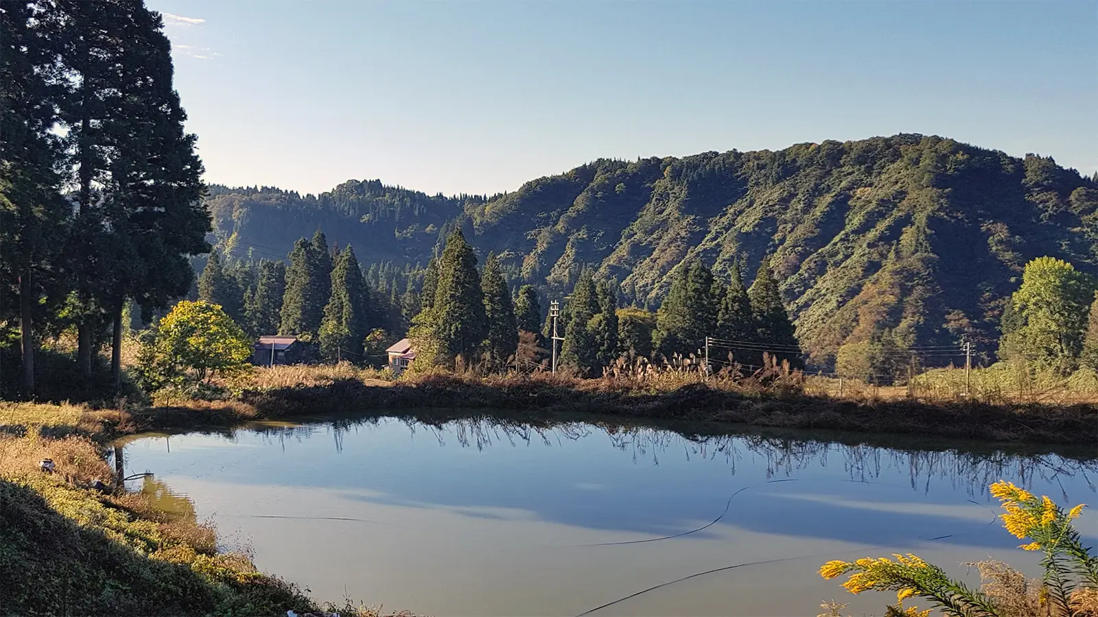 Landschap met koivijver in Japan tijdens inkoopreis van A2KOI om Japanse koi te selecteren